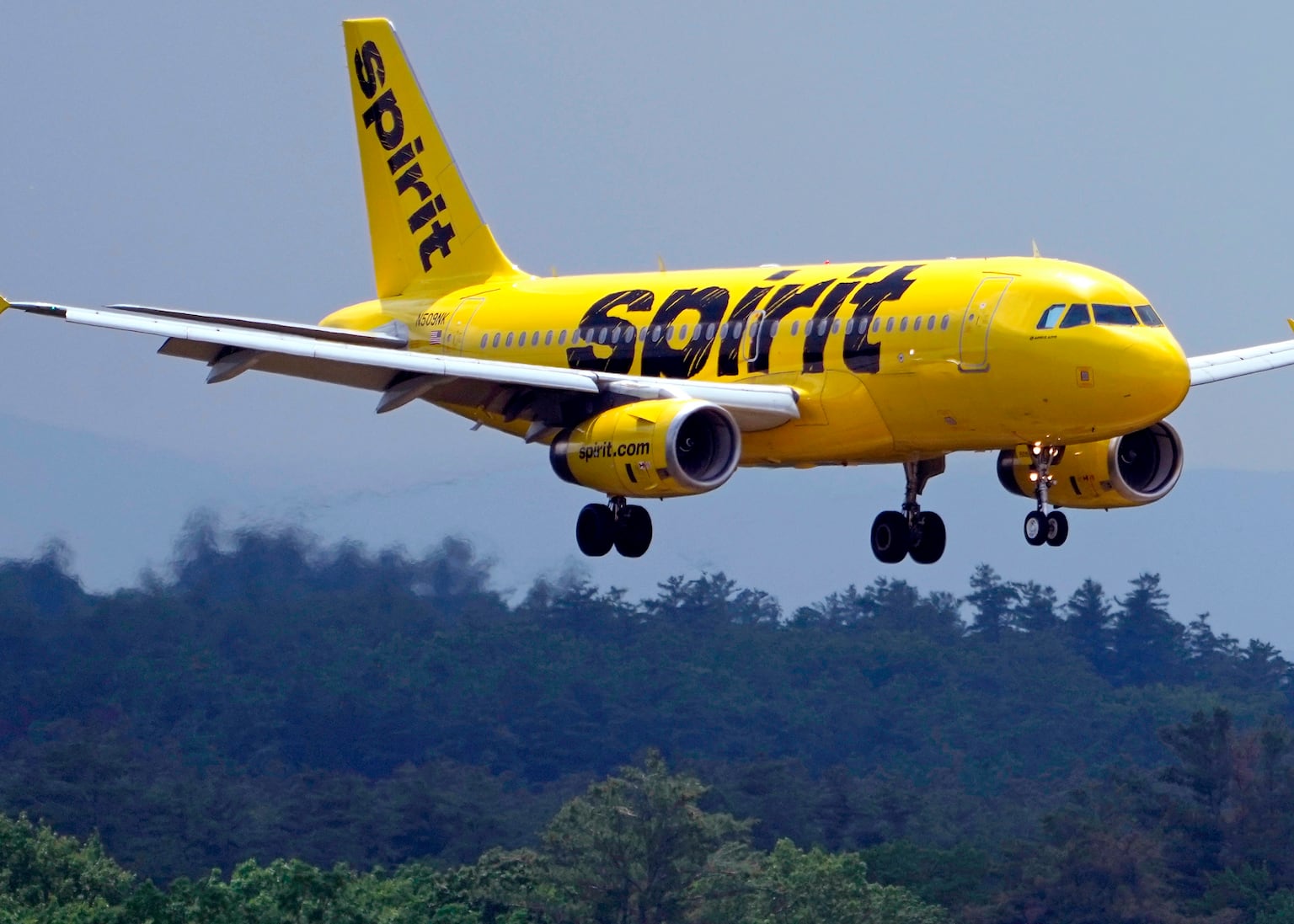 A Spirit Airlines 319 Airbus (Charles Krupa/AP)