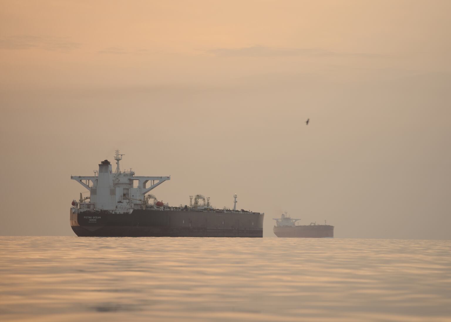 Tankers anchored in the Strait of Hormuz (Asghar Besharati/AP)